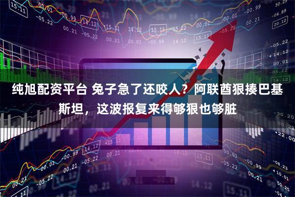 纯旭配资平台 兔子急了还咬人？阿联酋狠揍巴基斯坦，这波报复来得够狠也够脏